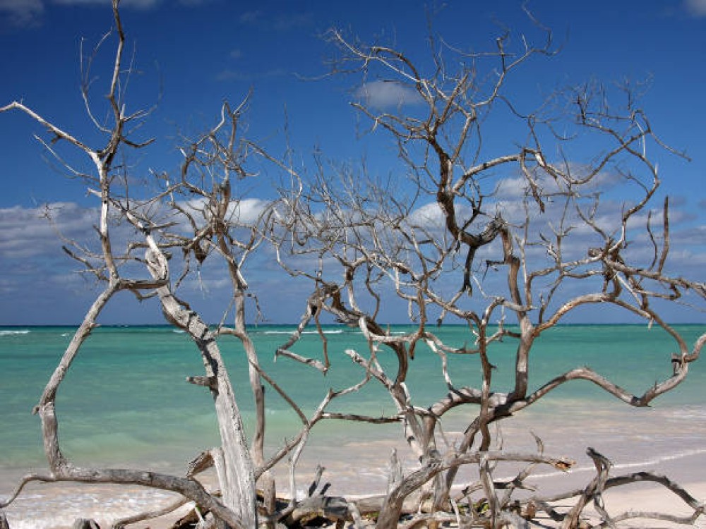 Cayo Bolívar