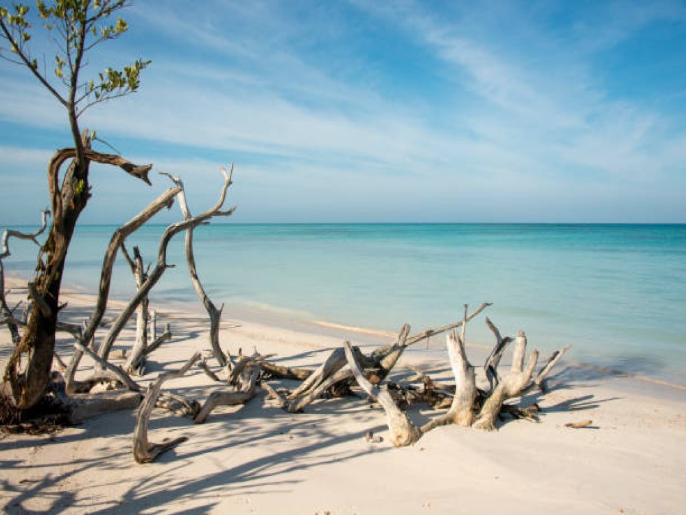 Cayo Acuario