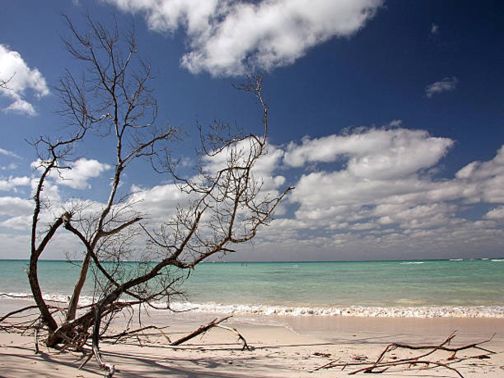 Cayo Acuario