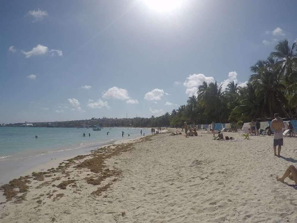 Cayo Rocoso