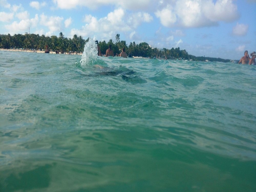 Cayo Rocoso