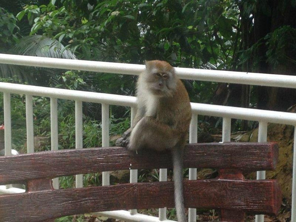 Penang Hill