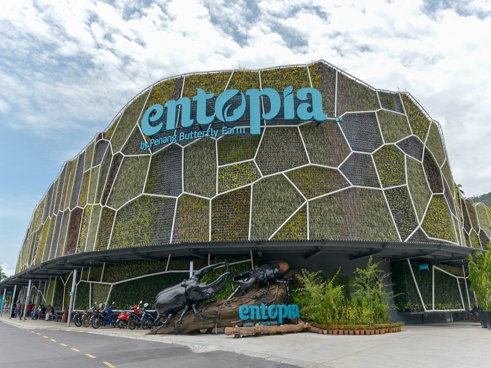 Entopia