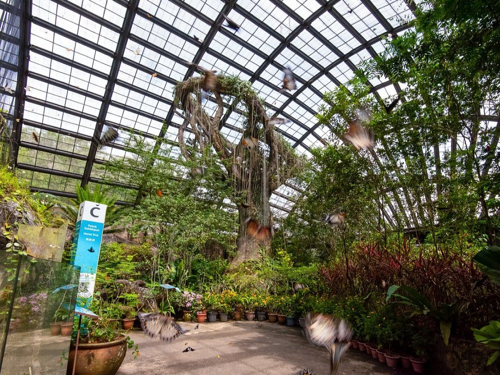 Entopia