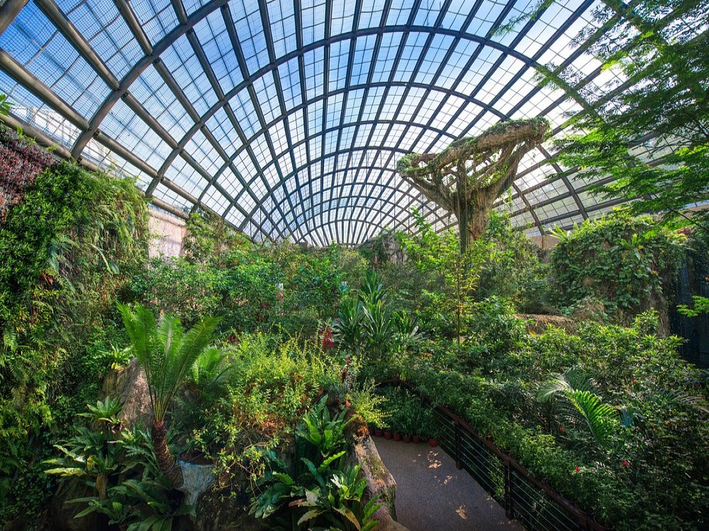 Entopia