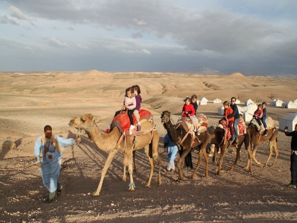 Dinner Show in Agafay Desert with Quad Bike & Camels