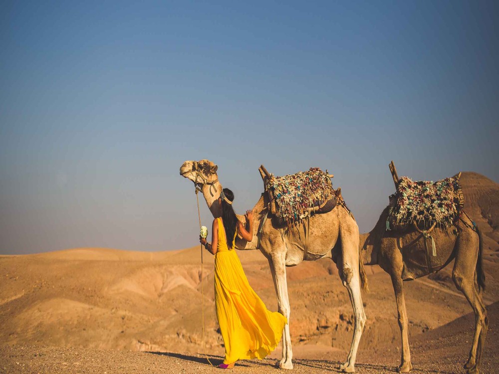 Marrakech: Atlas Mountains, Berber Villages, Agafay & Camel Ride