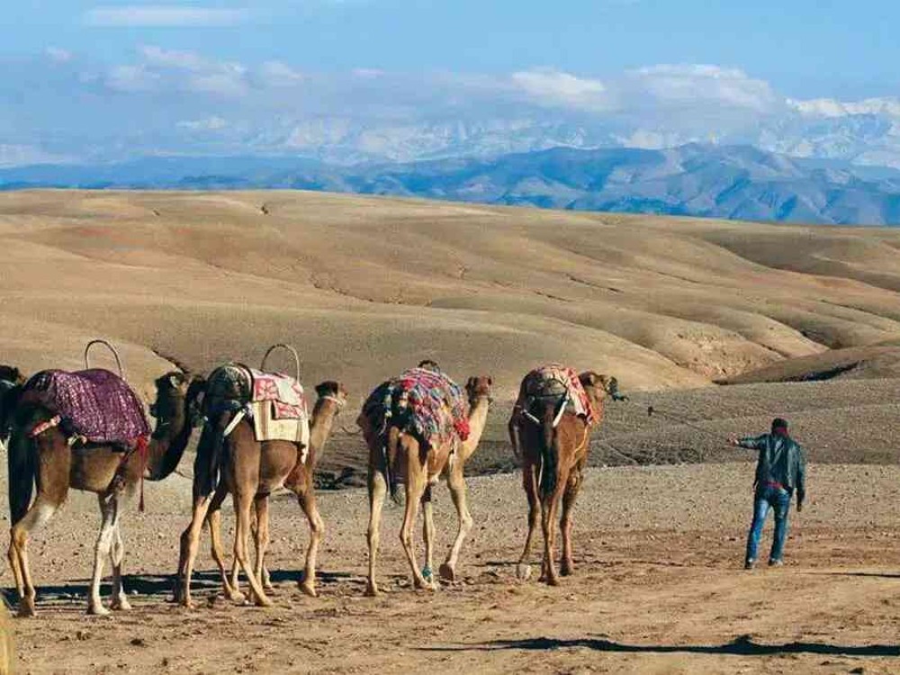 Marrakech: Atlas Mountains, Berber Villages, Agafay & Camel Ride