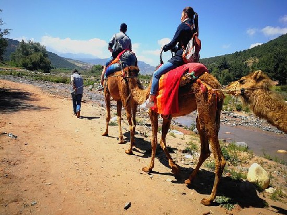 Marrakech: Atlas Mountains, Berber Villages, Agafay & Camel Ride