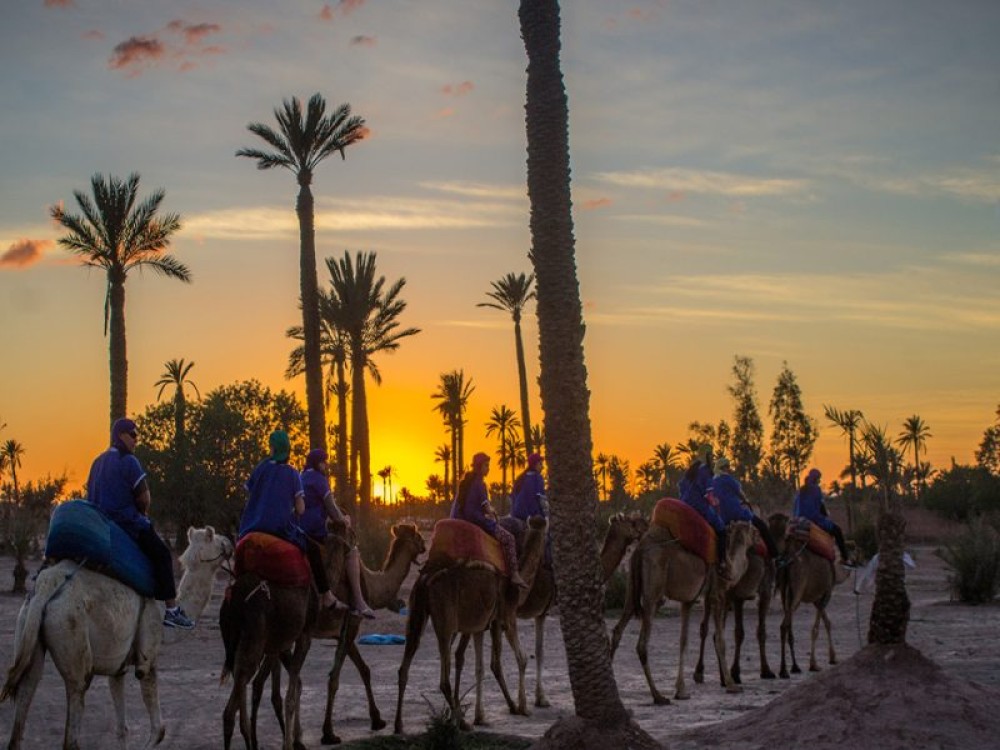 Marrakech Desert Tour & Sunset Camel Ride with Dinner Show