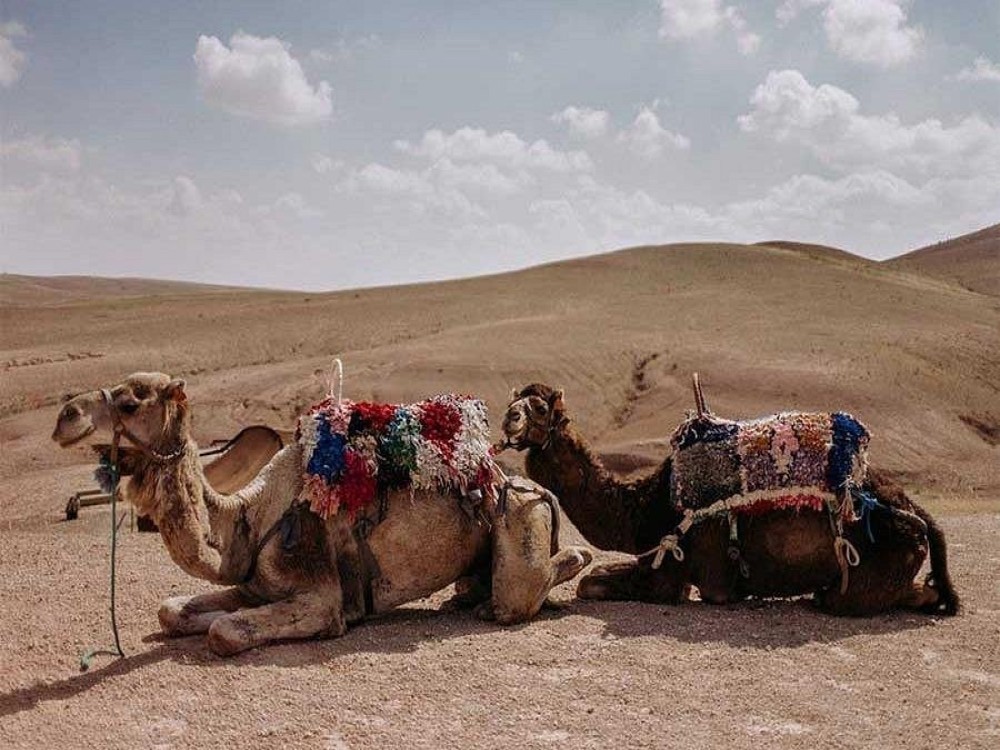 Agafay Desert