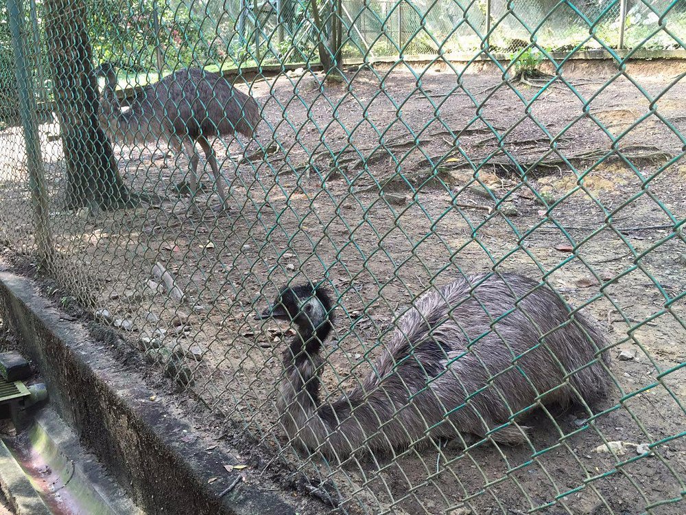 Kuala Lumpur Bird Park