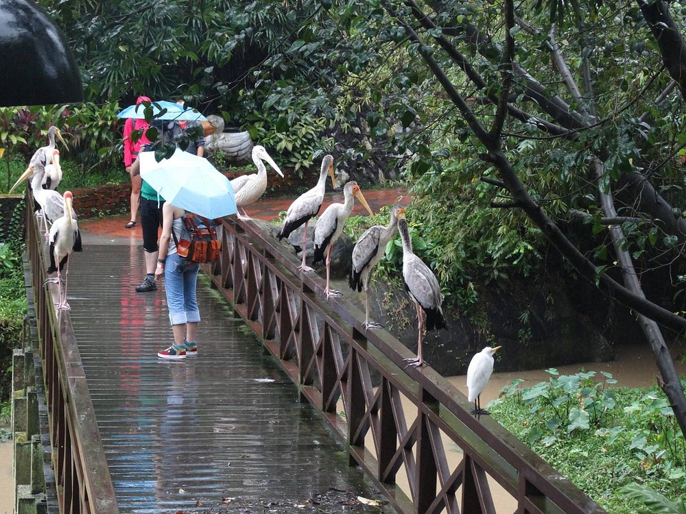 Kuala Lumpur Bird Park
