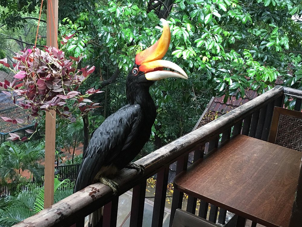 Kuala Lumpur Bird Park
