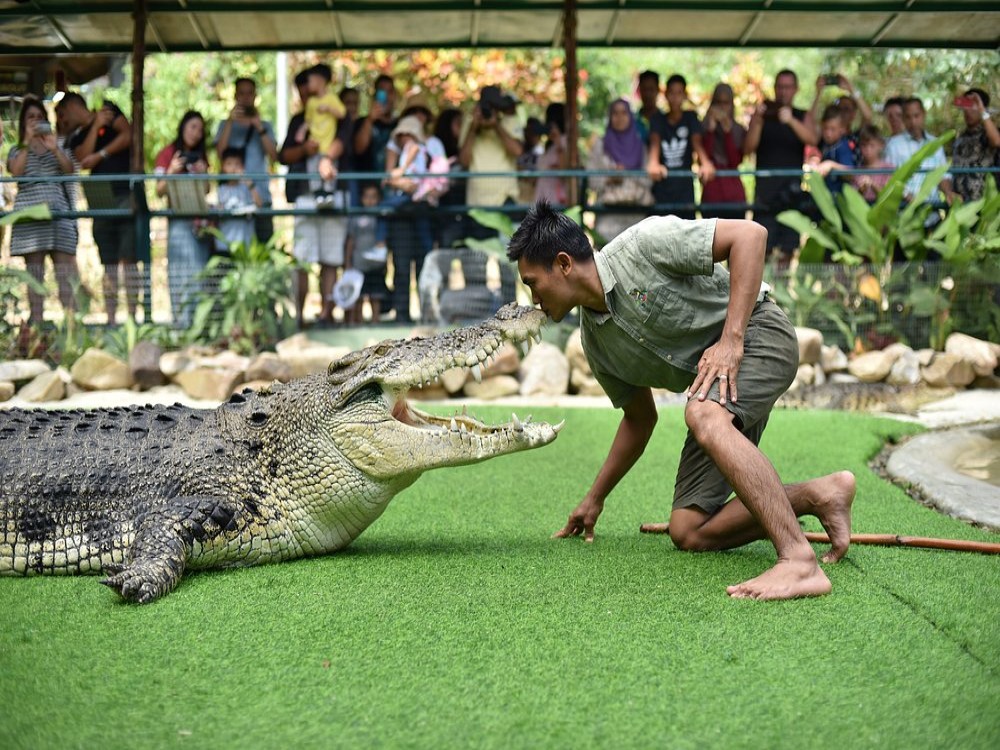 Crocodile Adventureland Langkawi