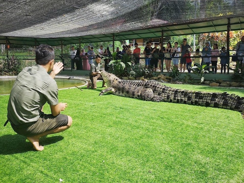 Crocodile Adventureland Langkawi