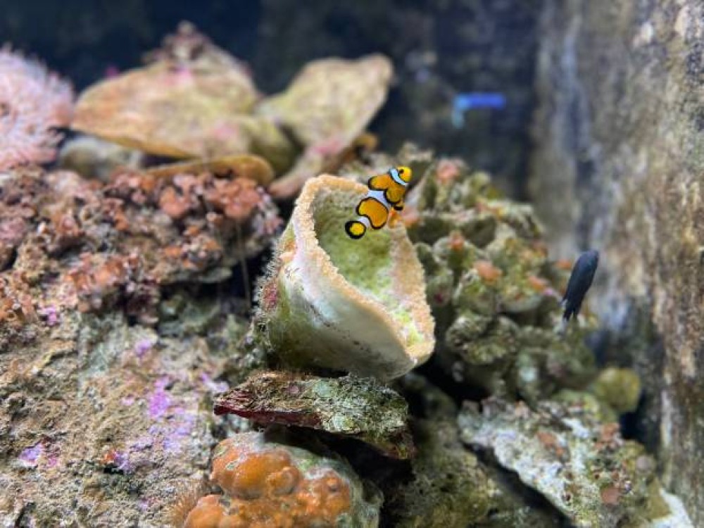 Underwater World Langkawi