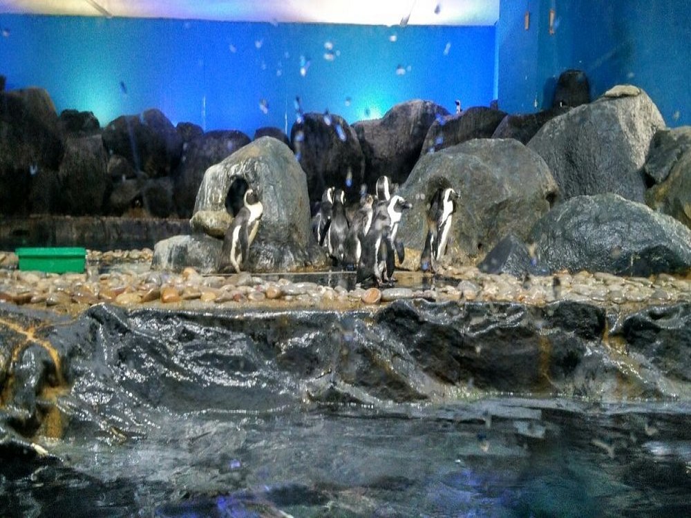 Underwater World Langkawi