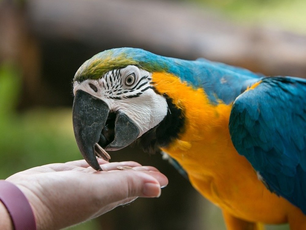 Langkawi Wildlife Park