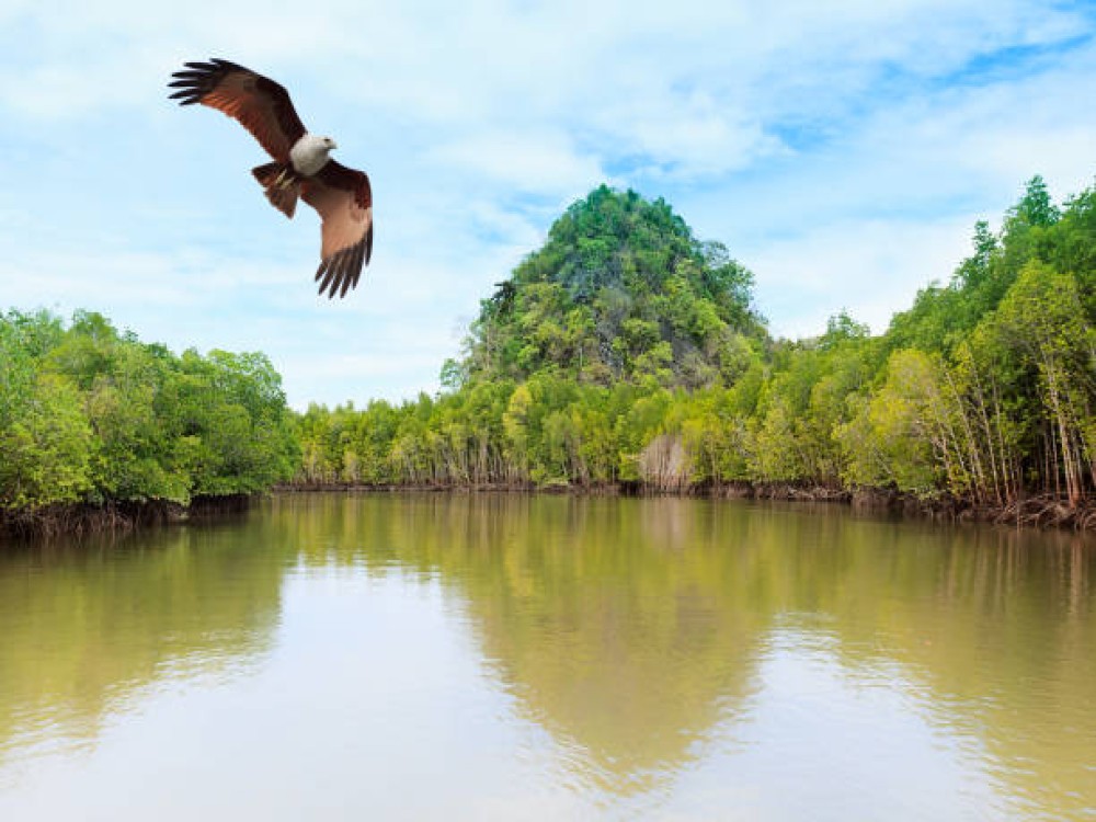 Langkawi Wildlife Park