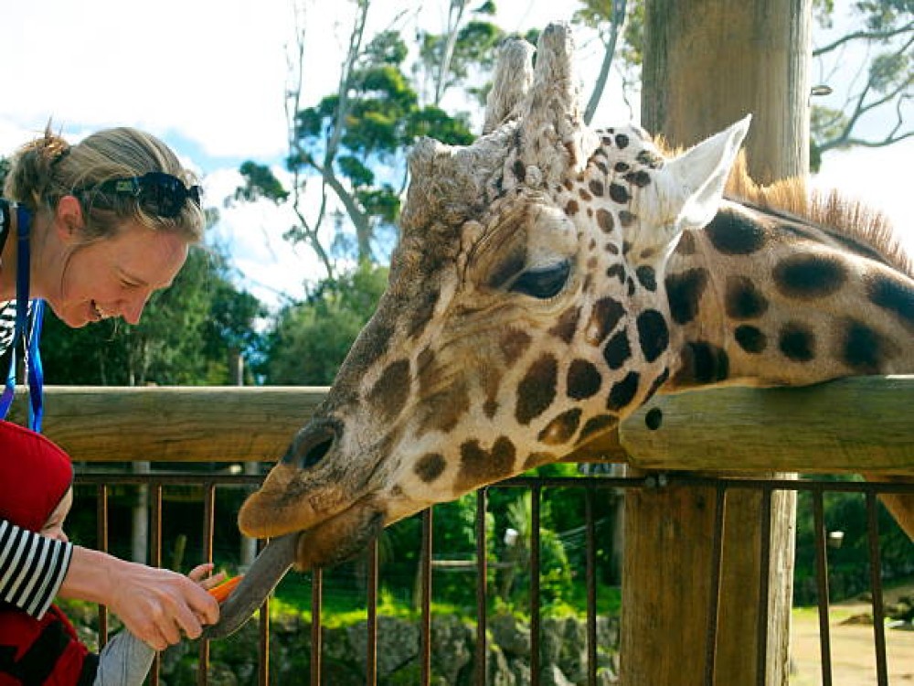 Auckland Zoo