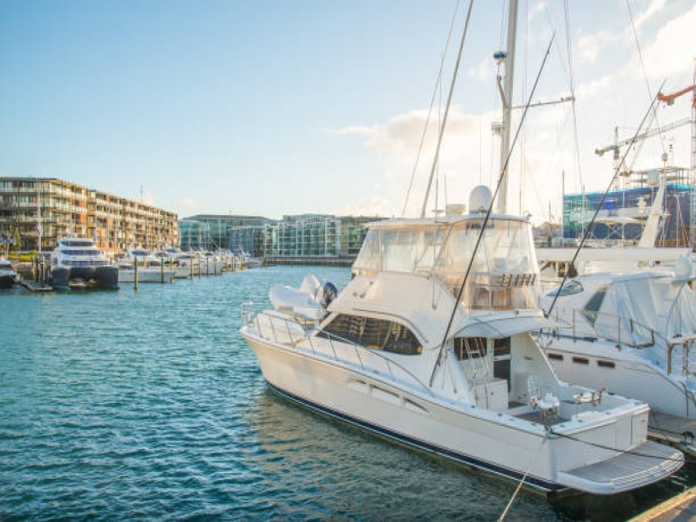 Viaduct Harbour