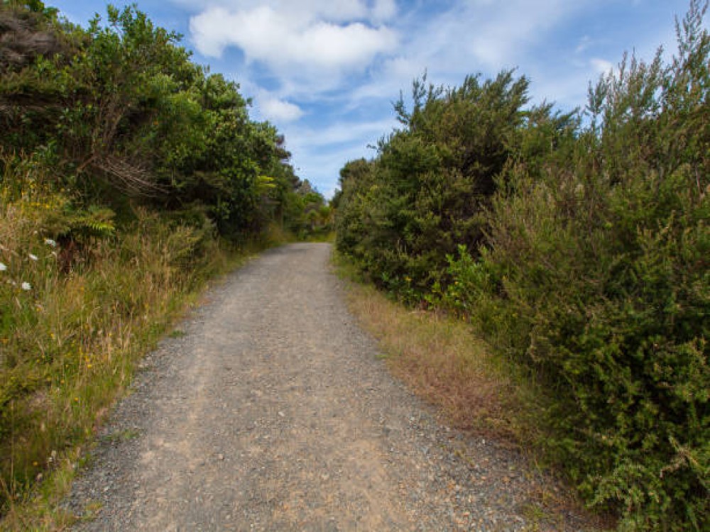 Roberts Point Track