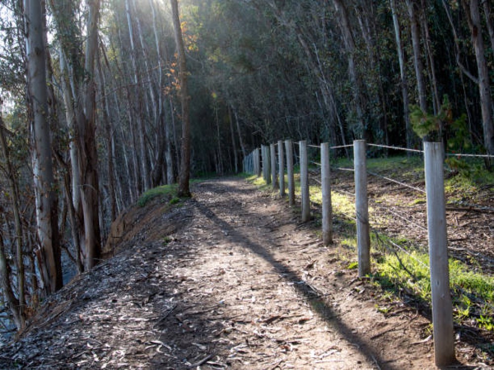 Roberts Point Track