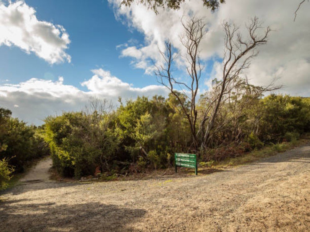Roberts Point Track