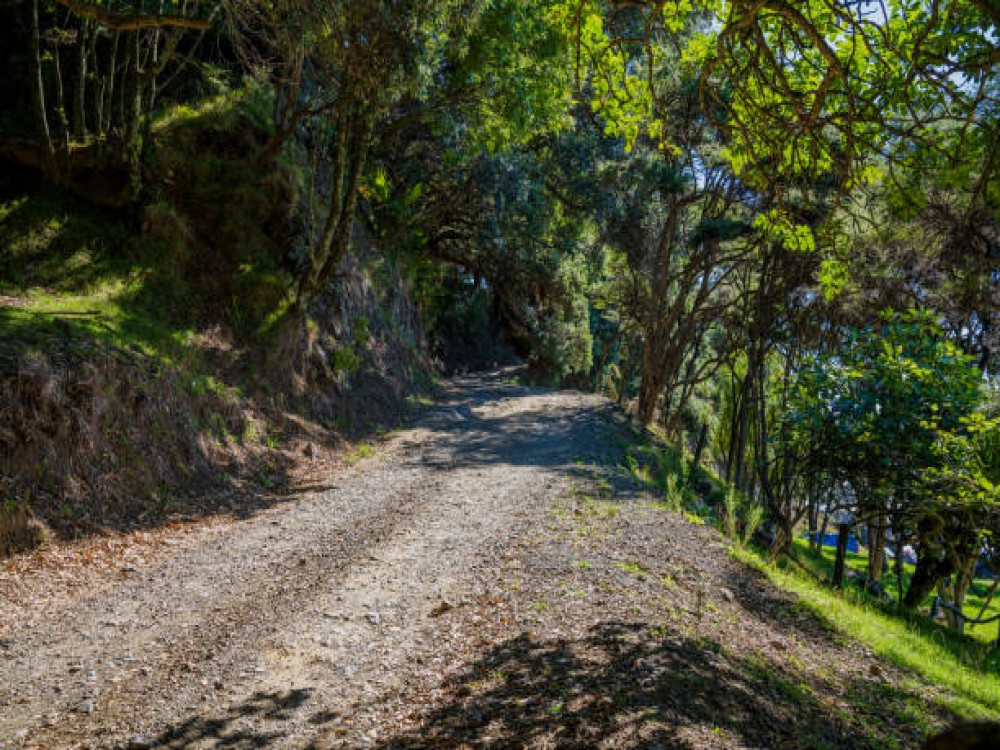 Roberts Point Track
