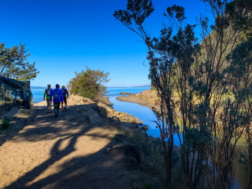 Roberts Point Track