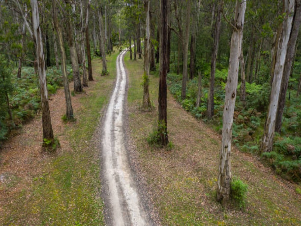 Roberts Point Track