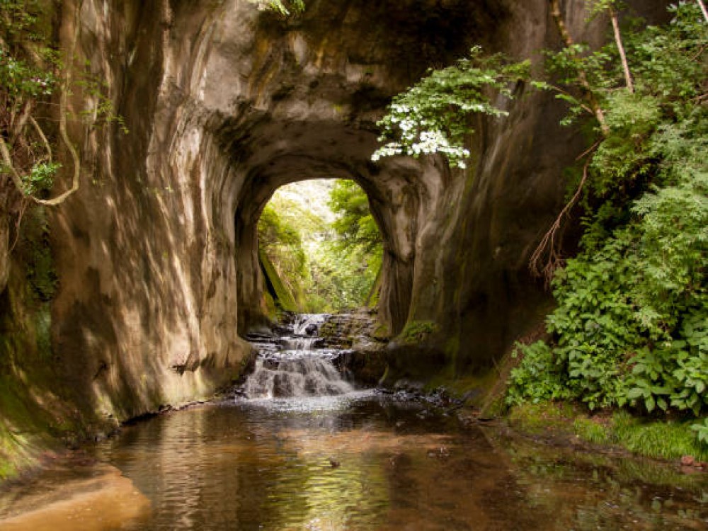 Tatare Tunnels Walk