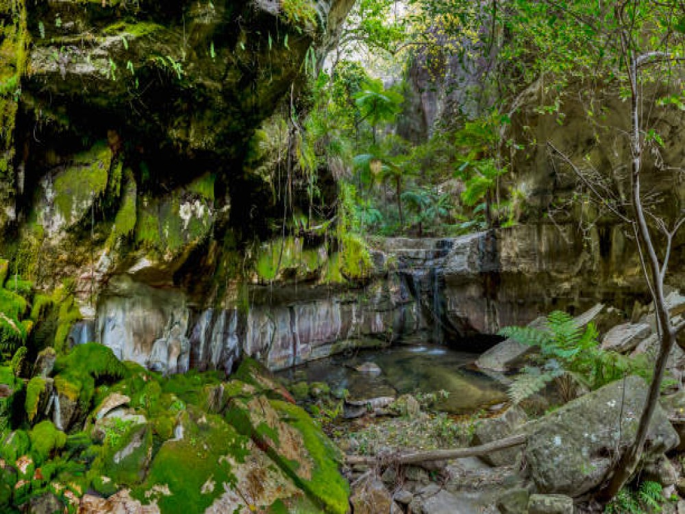 Callery Gorge Walk