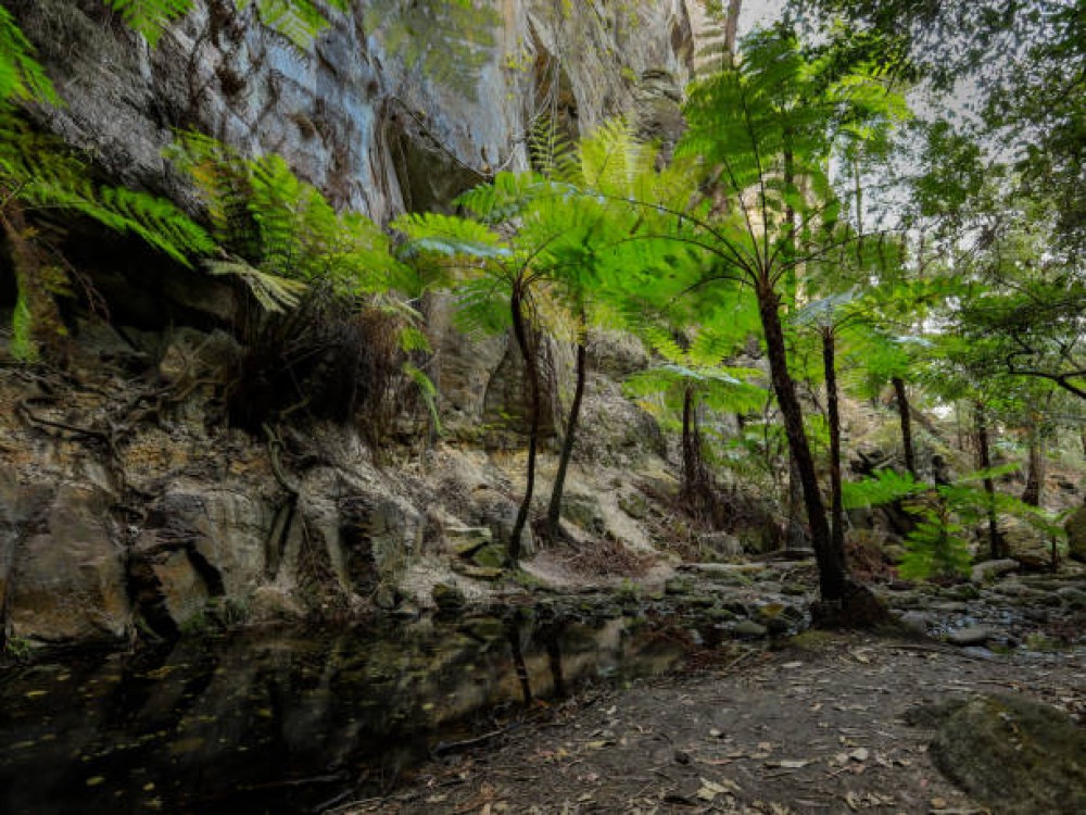Callery Gorge Walk