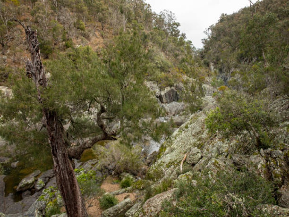 Callery Gorge Walk