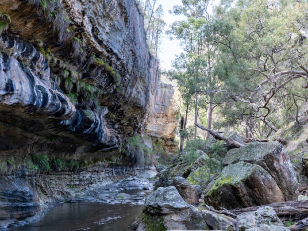 Callery Gorge Walk