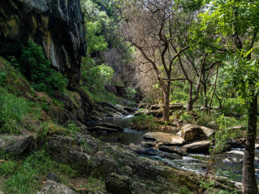 Callery Gorge Walk