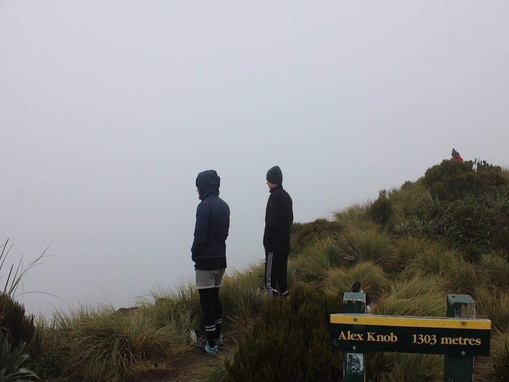 Alex Knob Track