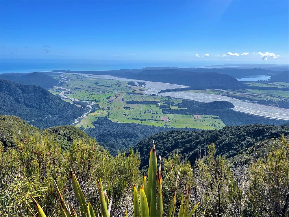 Alex Knob Track