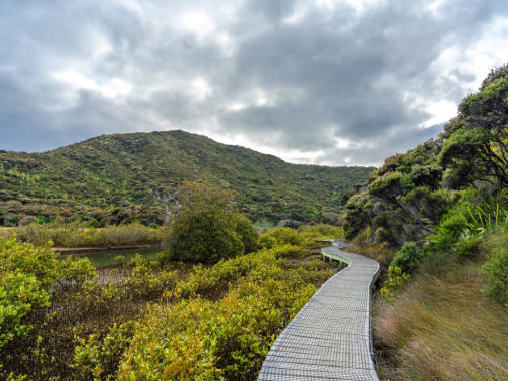 Terrace Walk