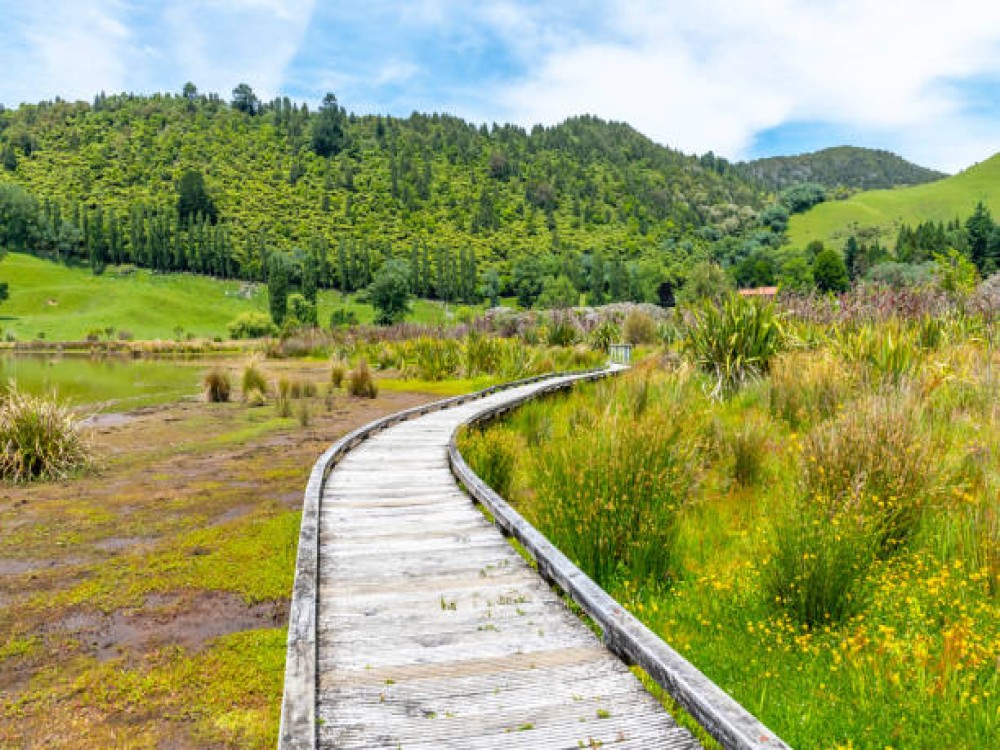 Terrace Walk