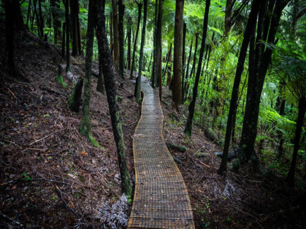 Terrace Walk