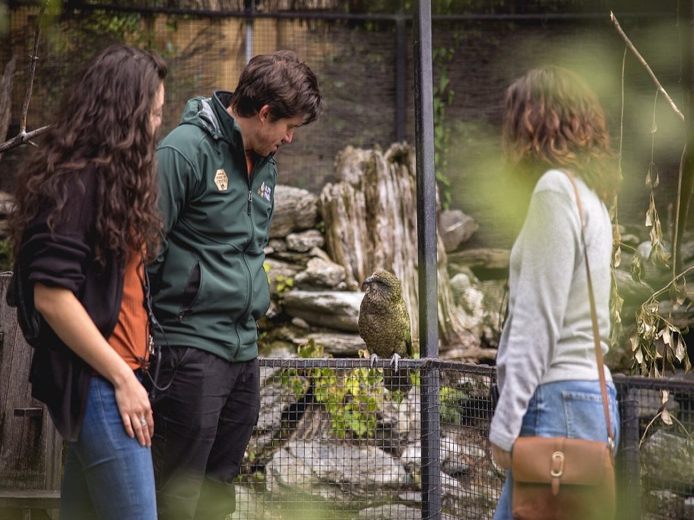 Kiwi Park