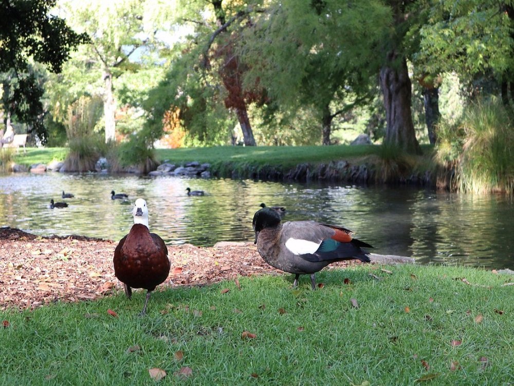 Queenstown Gardens