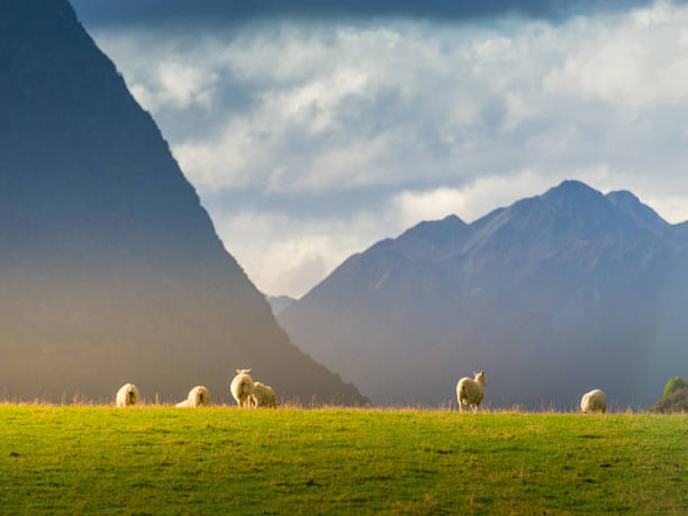 Queenstown Hill