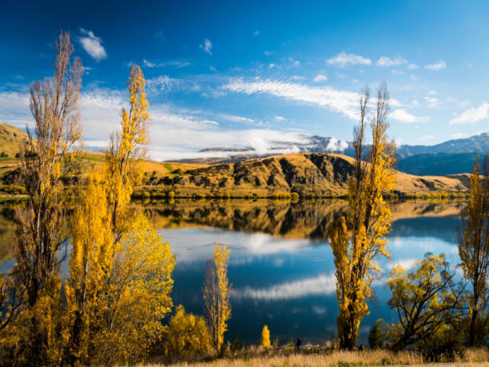 Queenstown Hill