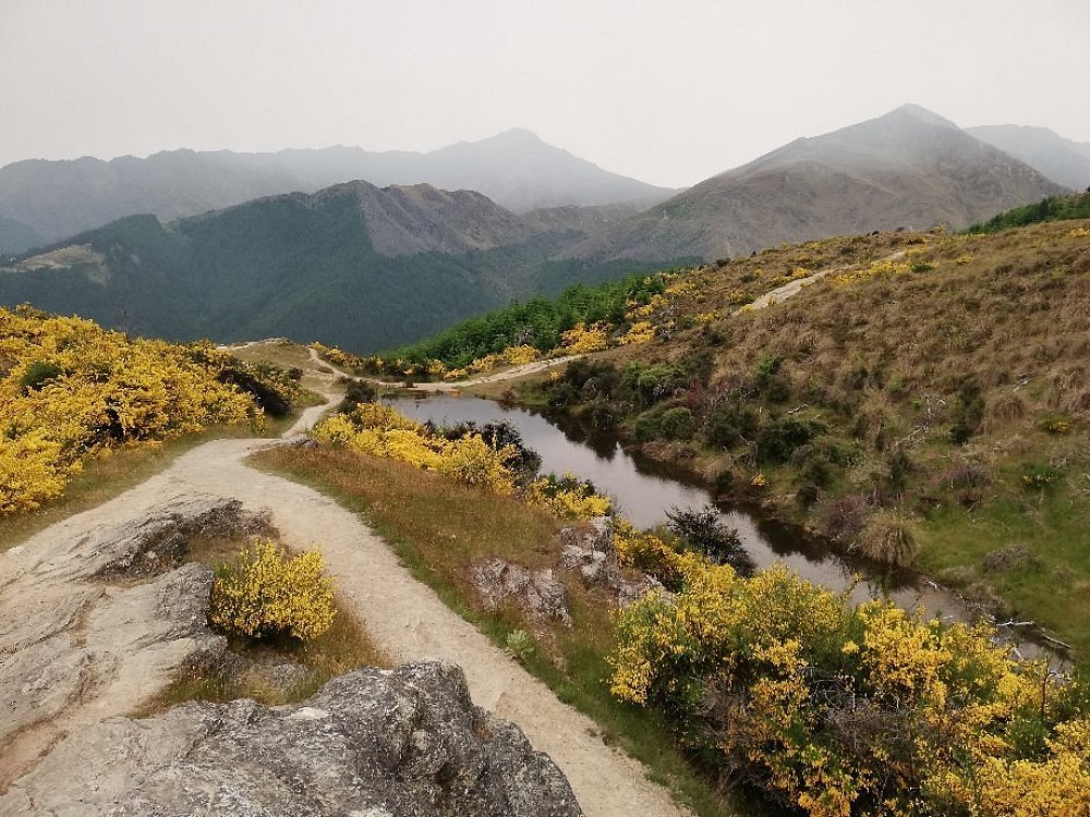 Queenstown Hill