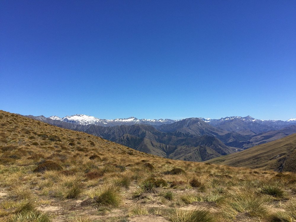 Ben Lomond Track