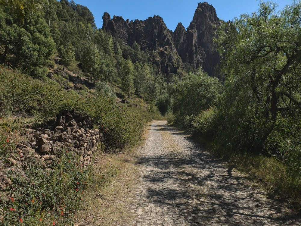 Cova de Paul